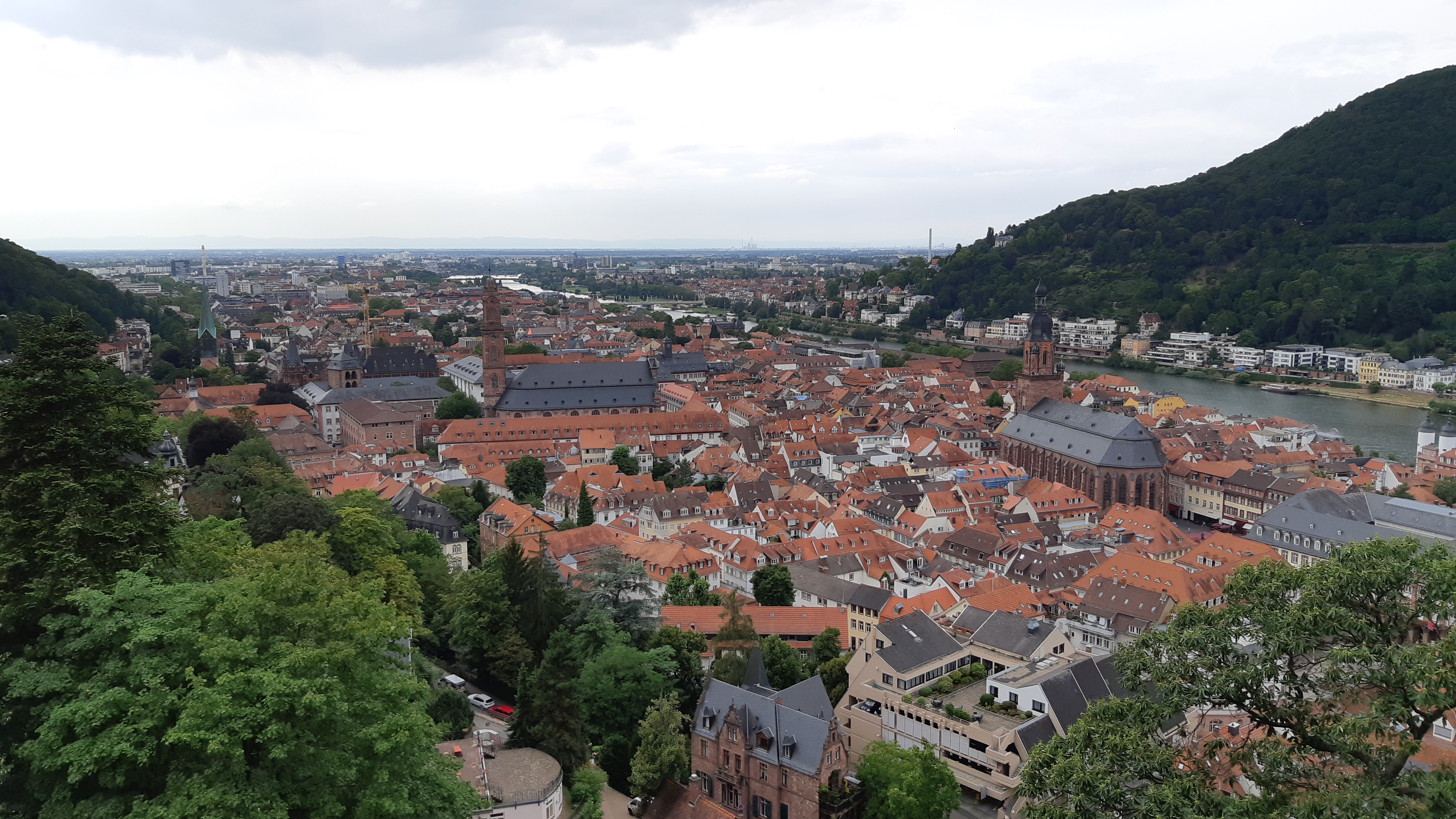 heidelberg_view_2